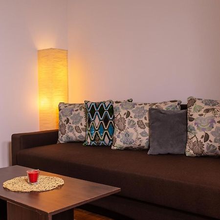 Alessia Apartment In The Old Town Timisoara Bagian luar foto