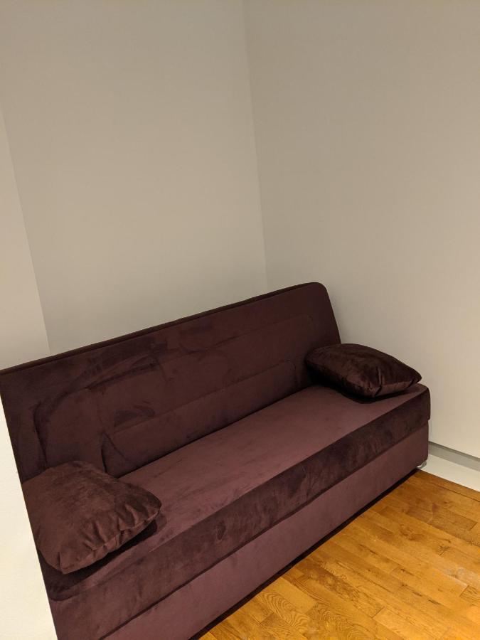 Alessia Apartment In The Old Town Timisoara Bagian luar foto