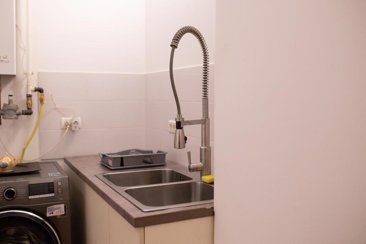 Alessia Apartment In The Old Town Timisoara Bagian luar foto