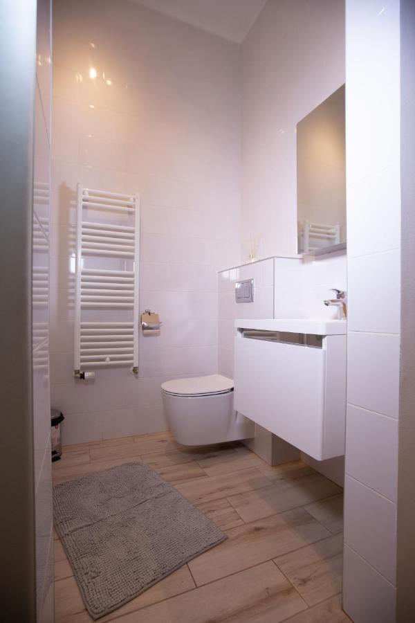Alessia Apartment In The Old Town Timisoara Bagian luar foto
